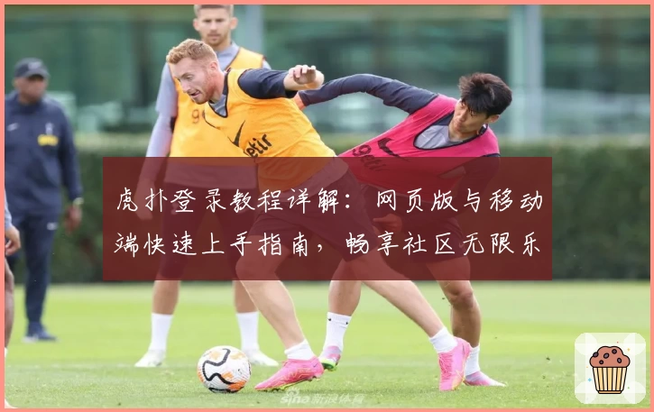 虎扑登录教程详解：网页版与移动端快速上手指南，畅享社区无限乐趣