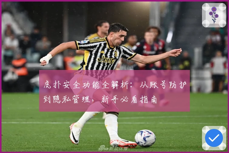 虎扑安全功能全解析:从账号防护到隐私管理,新手必看指南