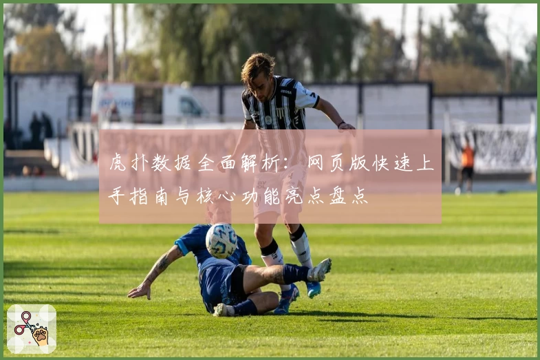 虎扑数据全面解析：网页版快速上手指南与核心功能亮点盘点