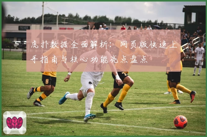 虎扑数据全面解析：网页版快速上手指南与核心功能亮点盘点