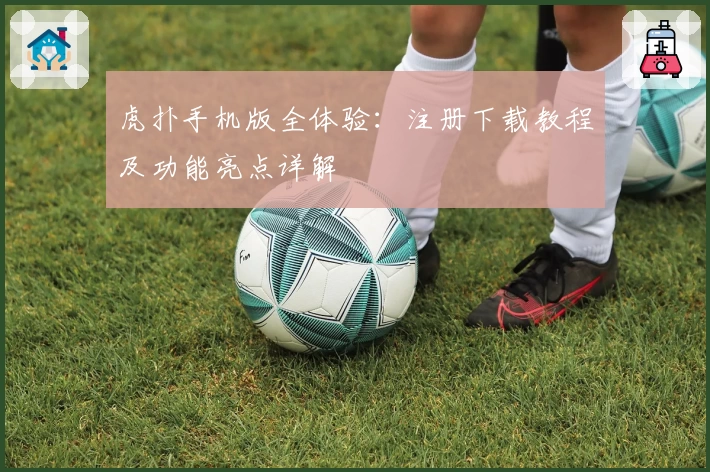 虎扑手机版全体验：注册下载教程及功能亮点详解