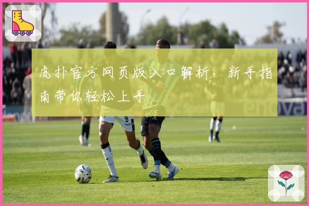 虎扑官方网页版入口解析，新手指南带你轻松上手